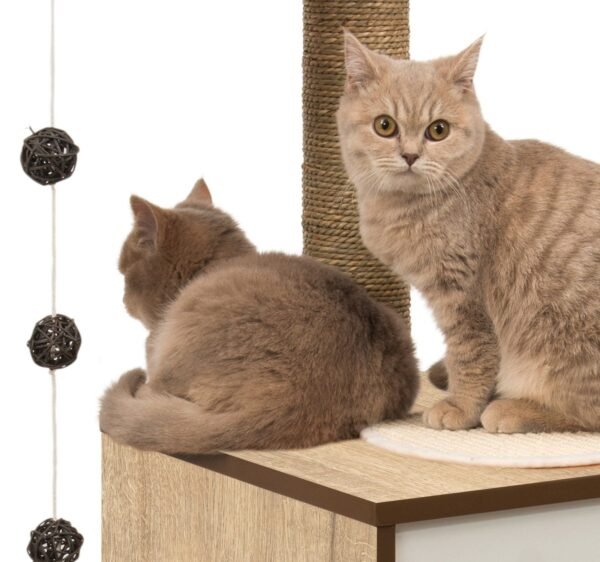 High Base Cat Tower – Oak Finish - Image 3